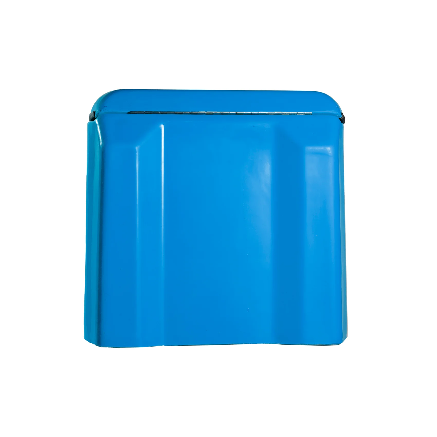 Blue_back